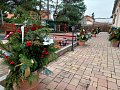 Adventní akce ve Veleni a v Mírovicích