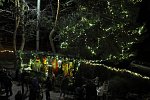 Adventní sobota - rozsvícení vánočního stromu 2022