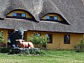 Výlet do ZOO Chleby a Hrabalovy hájenky v Kersku