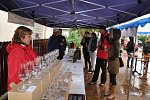 Veleňské VINOBRANÍ 2020