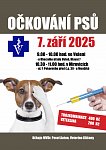 Očkování psů