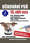 Očkování psů