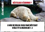 Vyhoření nehrozí...